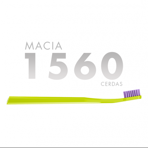 CS 1560B MACIA